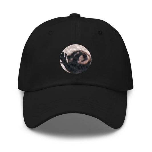 Pedro Racoon Dance Popular Internet Meme mapache dance Dad hat