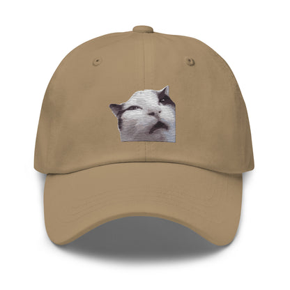 Huh! Cat meme, Popular Internet Meme  Dad hat