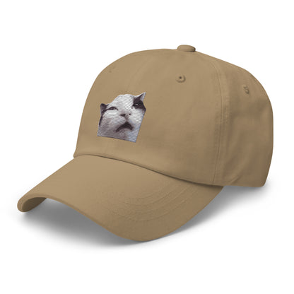 Huh! Cat meme, Popular Internet Meme  Dad hat