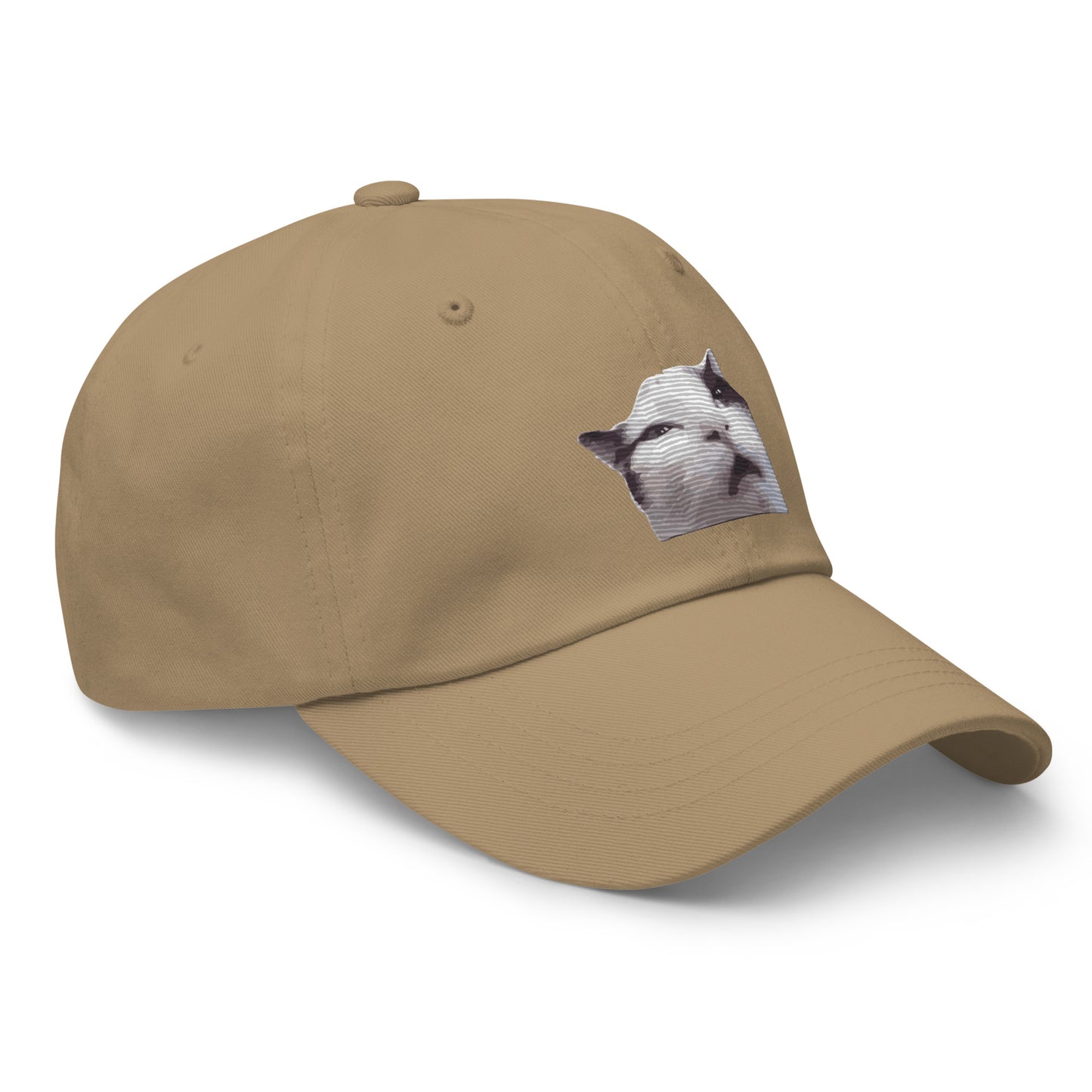 Huh! Cat meme, Popular Internet Meme  Dad hat