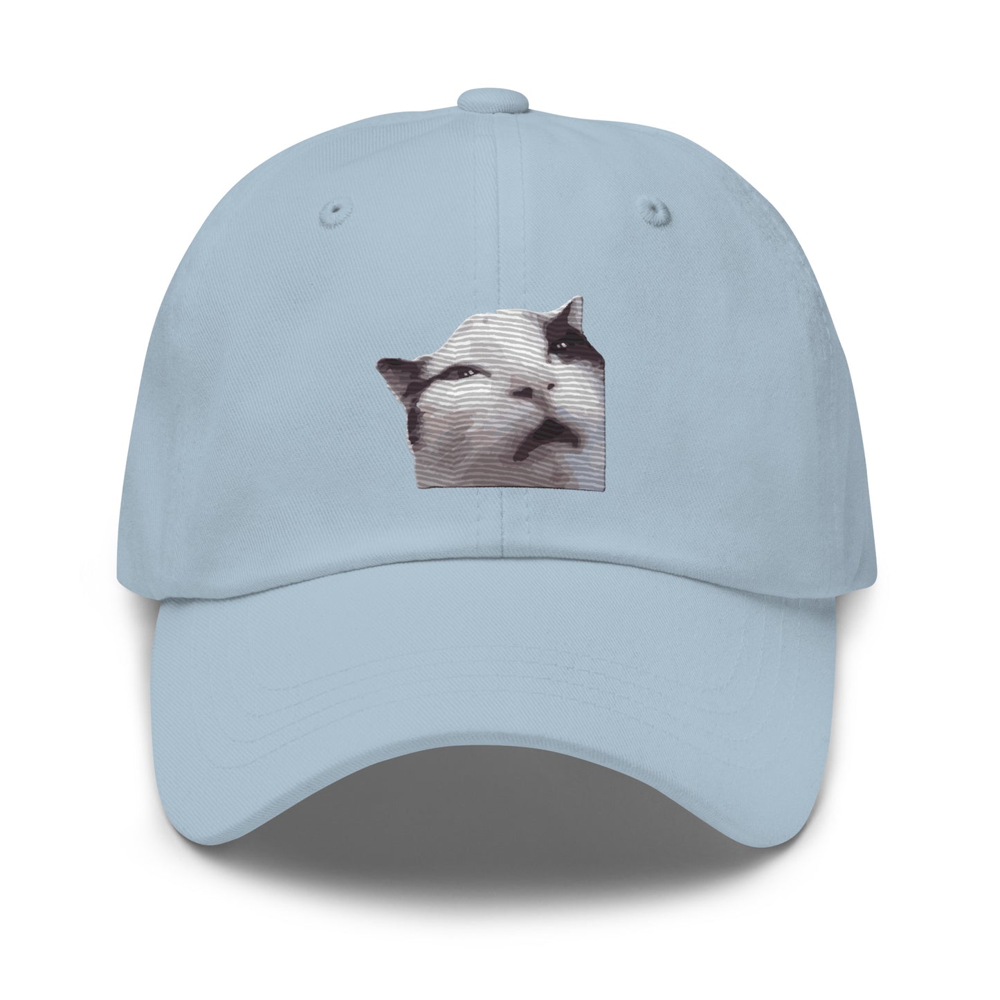 Huh! Cat meme, Popular Internet Meme  Dad hat