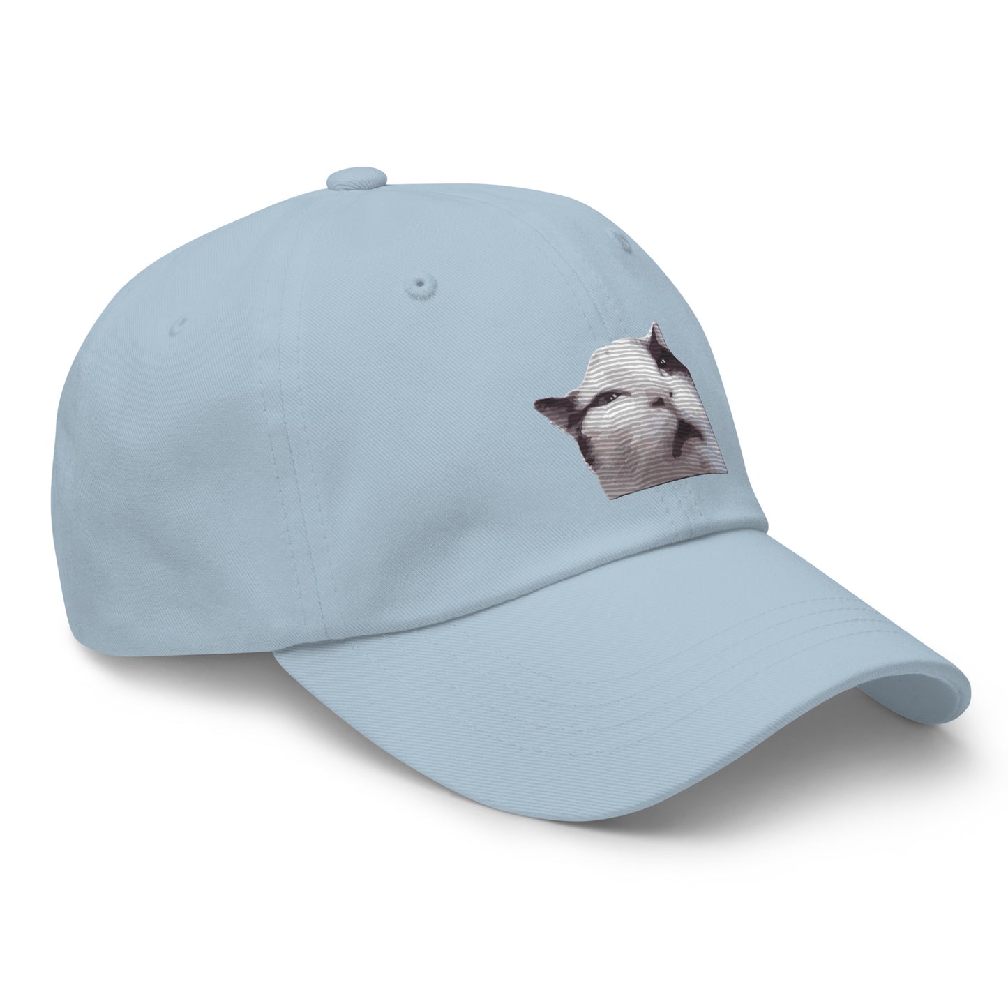 Huh! Cat meme, Popular Internet Meme  Dad hat