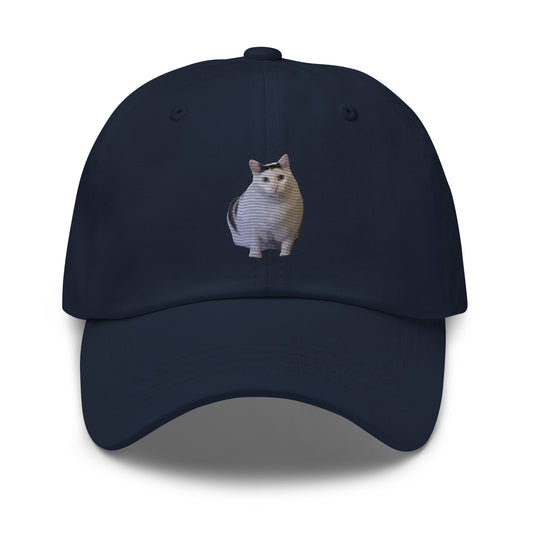 Huh! Cat meme, Popular Internet Meme Dad hat