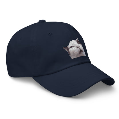 Huh! Cat meme, Popular Internet Meme  Dad hat