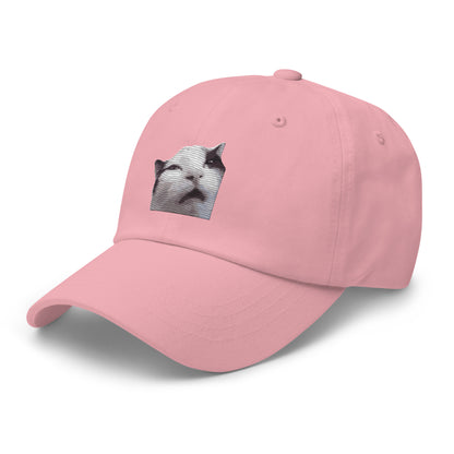 Huh! Cat meme, Popular Internet Meme  Dad hat