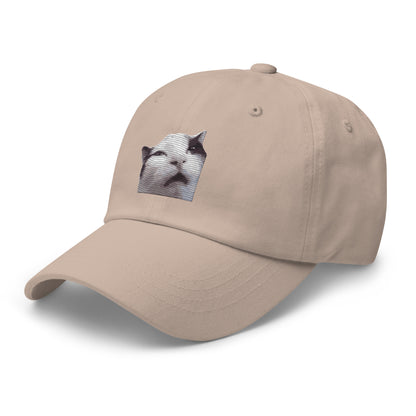 Huh! Cat meme, Popular Internet Meme  Dad hat