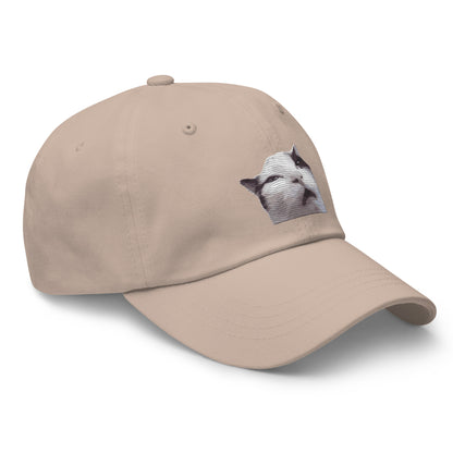 Huh! Cat meme, Popular Internet Meme  Dad hat