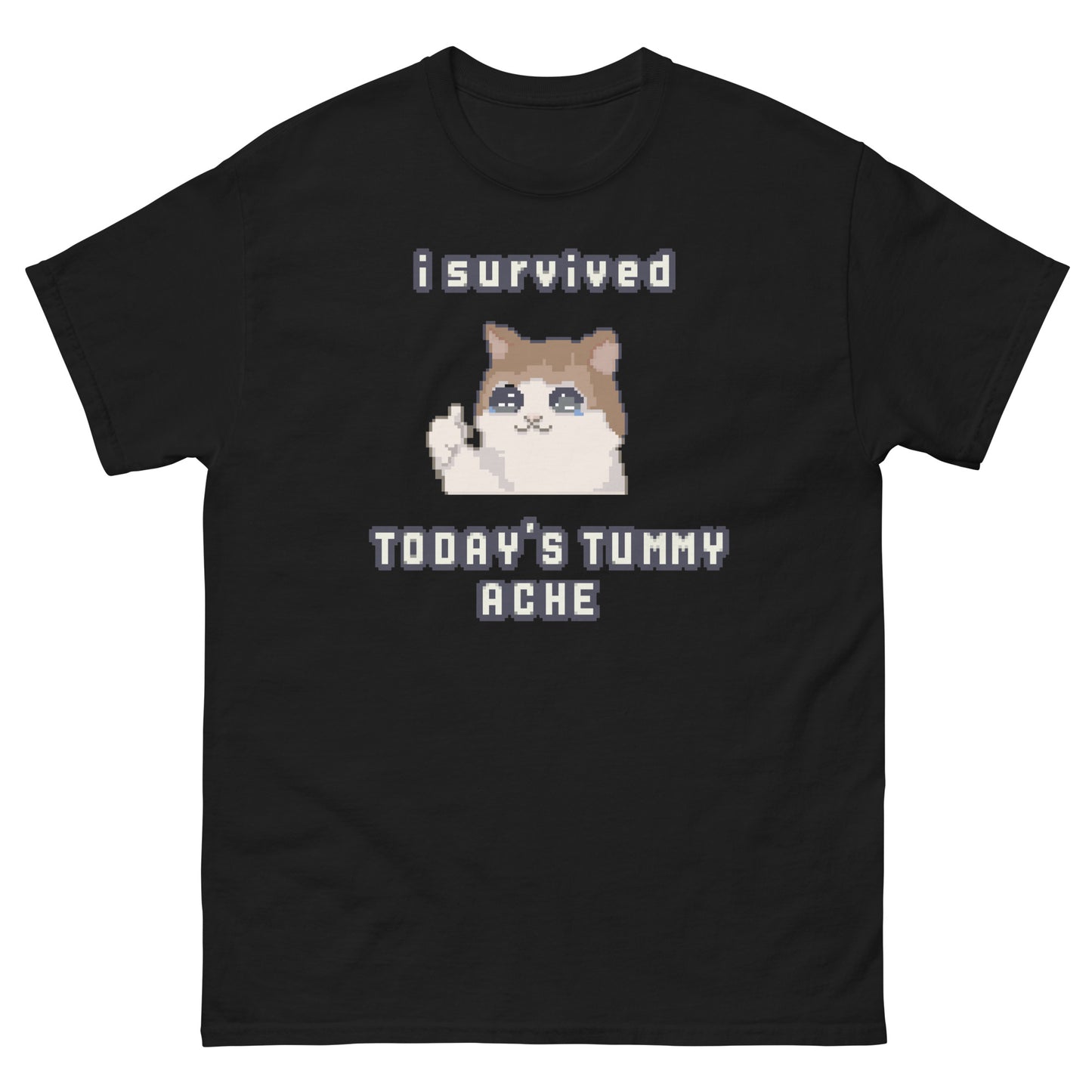 I survived Today's Tummy Ache shirt