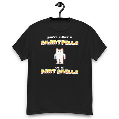 you're either a smart fella shirt