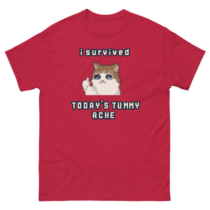 I survived Today's Tummy Ache shirt