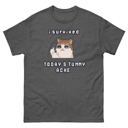 I survived Today's Tummy Ache shirt