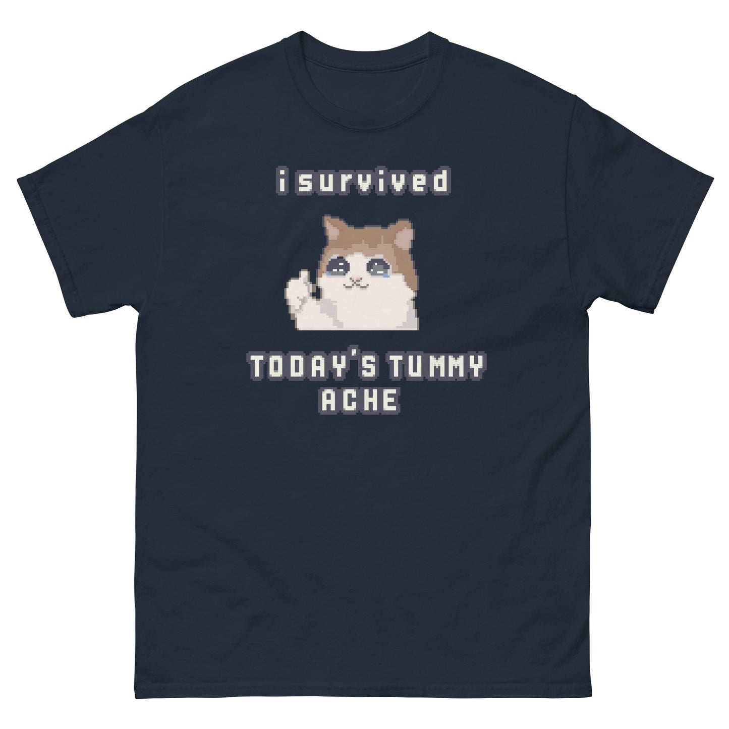 I survived Today's Tummy Ache shirt