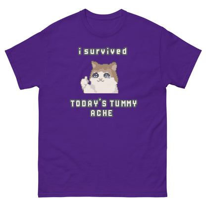 I survived Today's Tummy Ache shirt