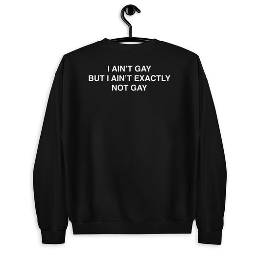 I Ain't Gay But I Ain't Exactly Not Gay Unisex Sweatshirt