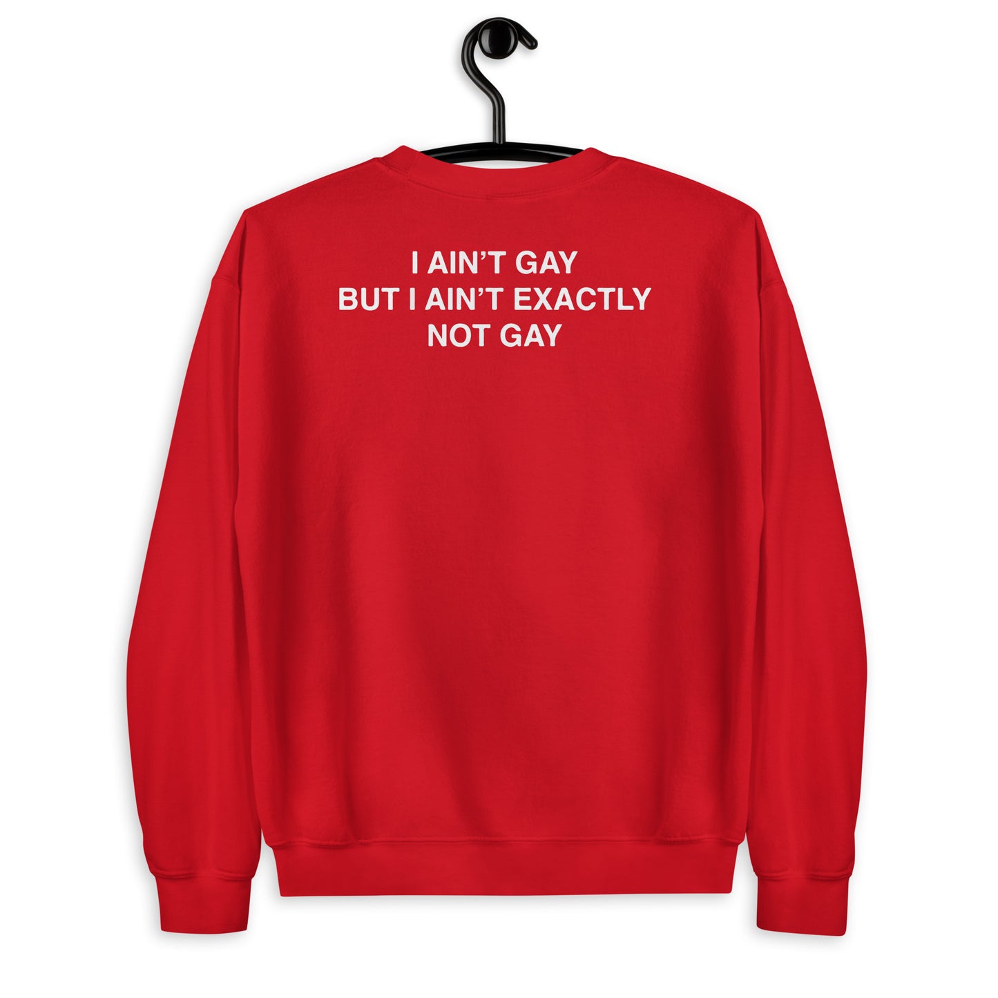 I Ain't Gay But I Ain't Exactly Not Gay Unisex Sweatshirt
