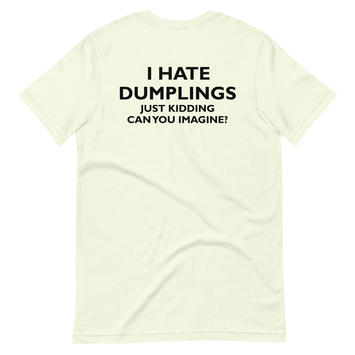 I HATE DUMPLINGS JUST KIDDING CAN YOU IMAGINE T-Shirt