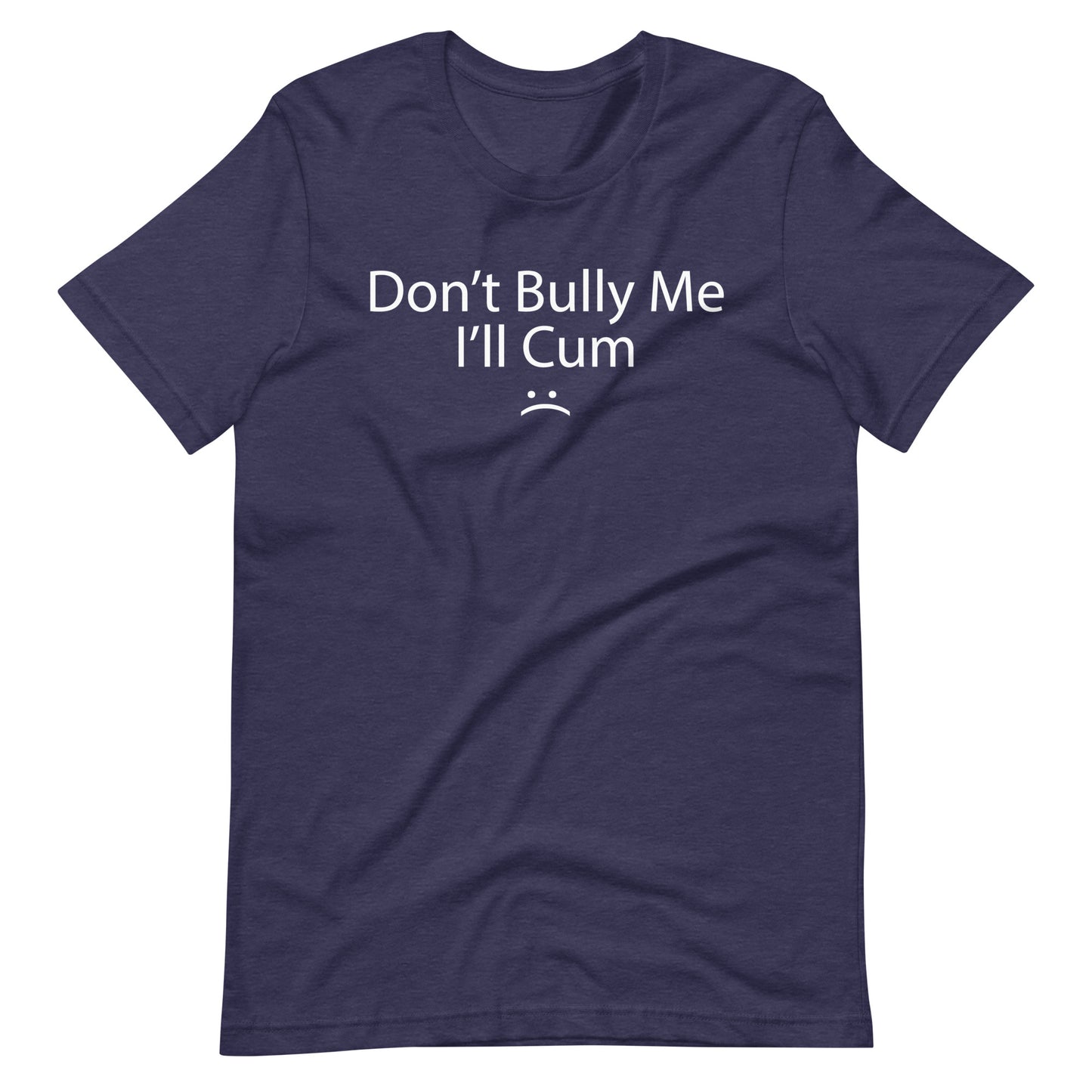 Don’t Bully Me I’ll Cum Unisex t-shirt